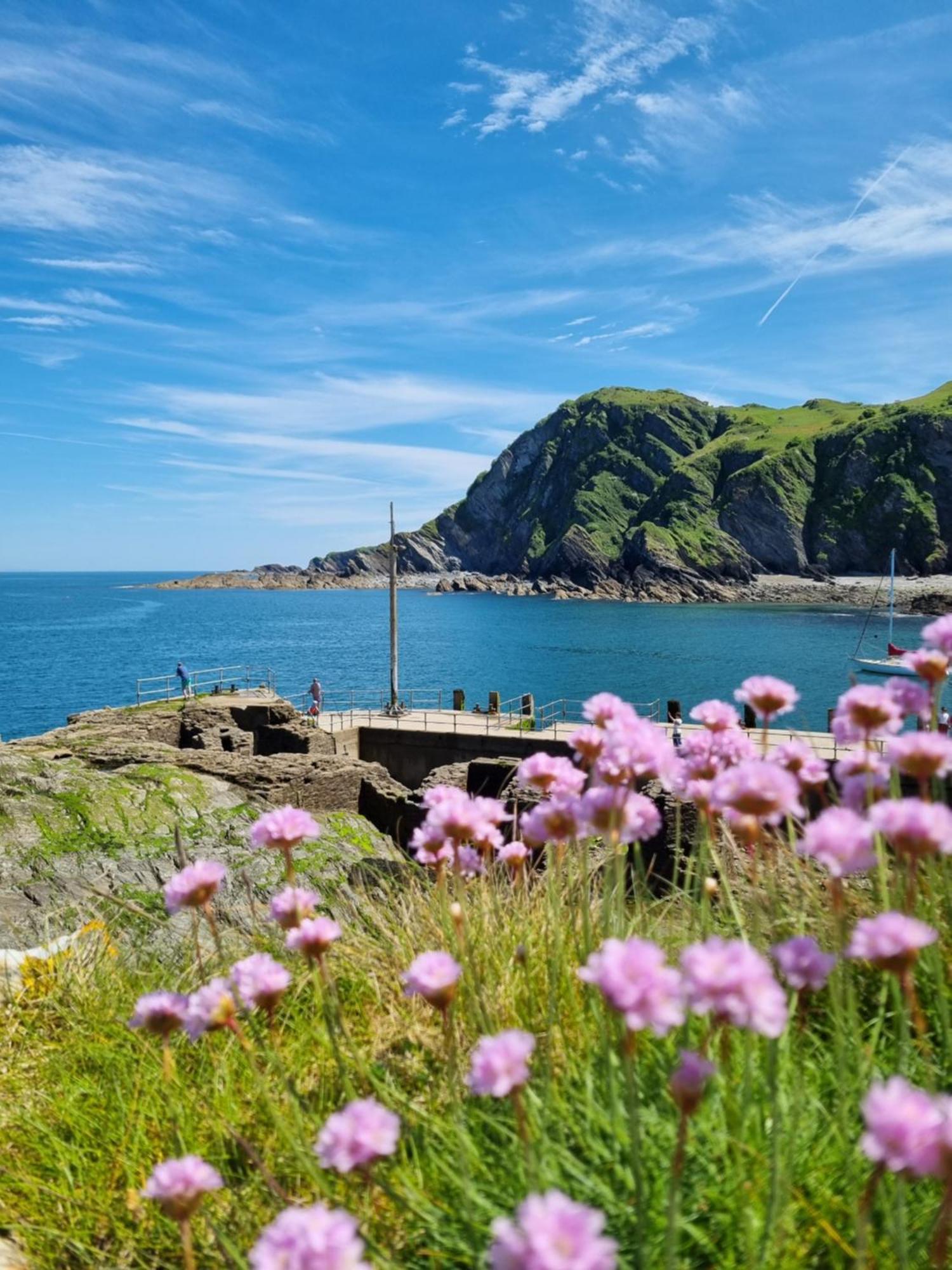 Sandpiper Cottage: Cosy Home Near The Beach Woolacombe Εξωτερικό φωτογραφία